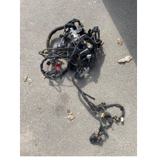 Жгут проводов Ducati